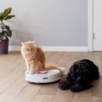 The Best Robot Vacuum Cleaners to Simplify Your Home Cleaning