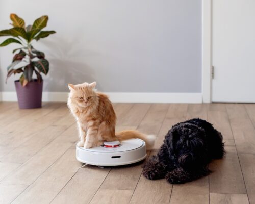 The Best Robot Vacuum Cleaners to Simplify Your Home Cleaning