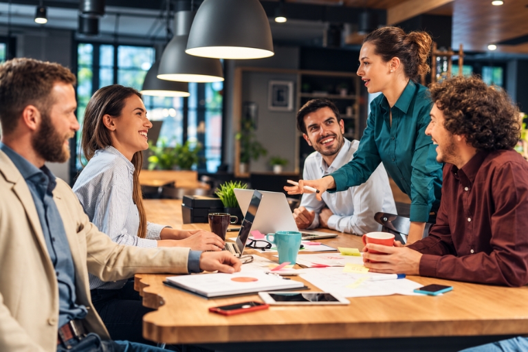 portfolio career strategy